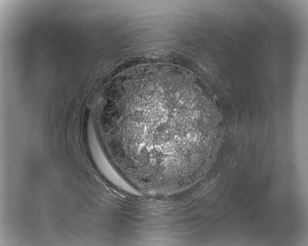 X0000064720817200602131222