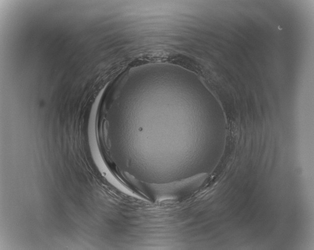 X0000064720818200602131222