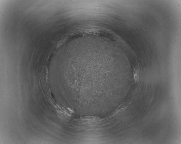 X0000064720819200602131222