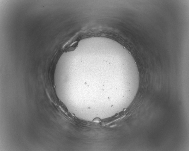 X0000064720820200602131222