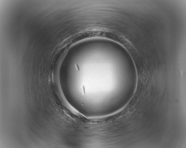 X0000064720821200602131222