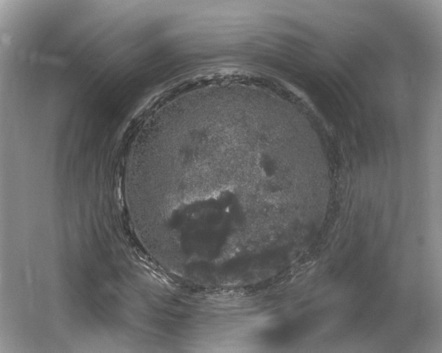 X0000064720823200602131222