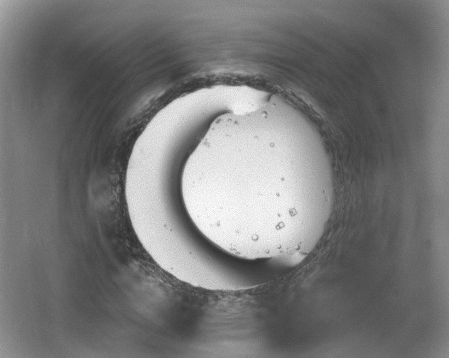 X0000064720824200602131222