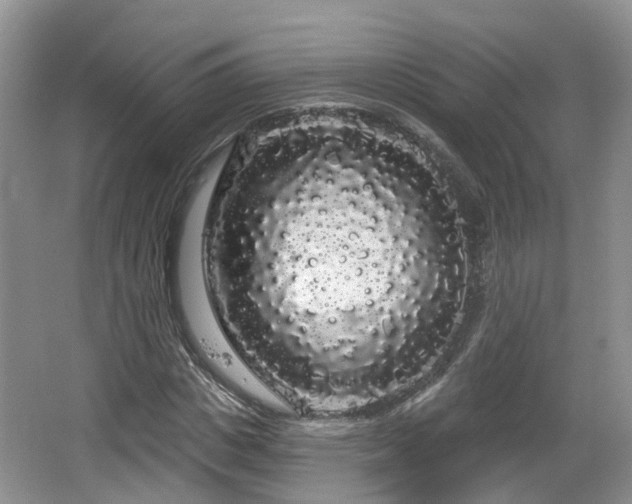 X0000064720825200602131222