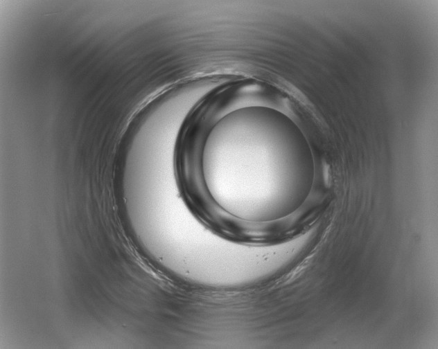 X0000064720826200602131222