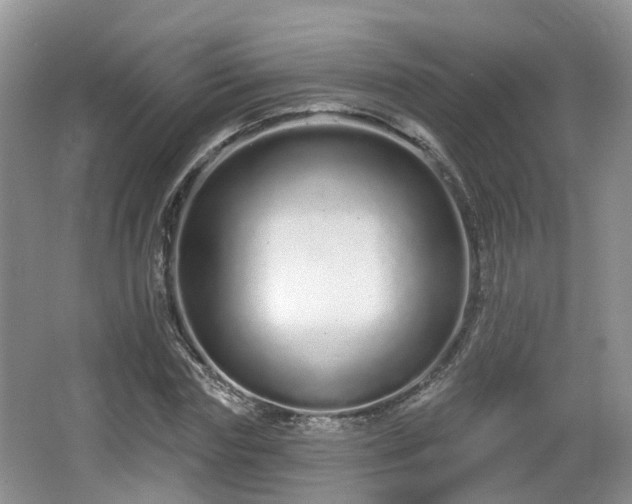 X0000064720827200602131222