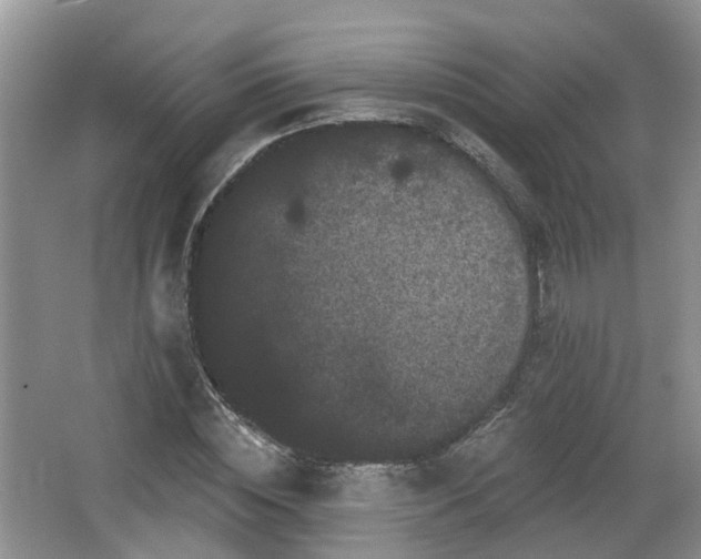 X0000064720828200602131222