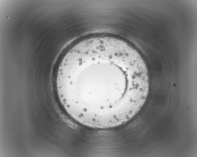 X0000064720832200602131222