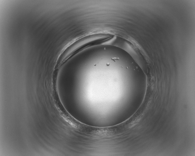 X0000064720834200602131222