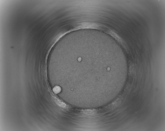 X0000064720836200602131222