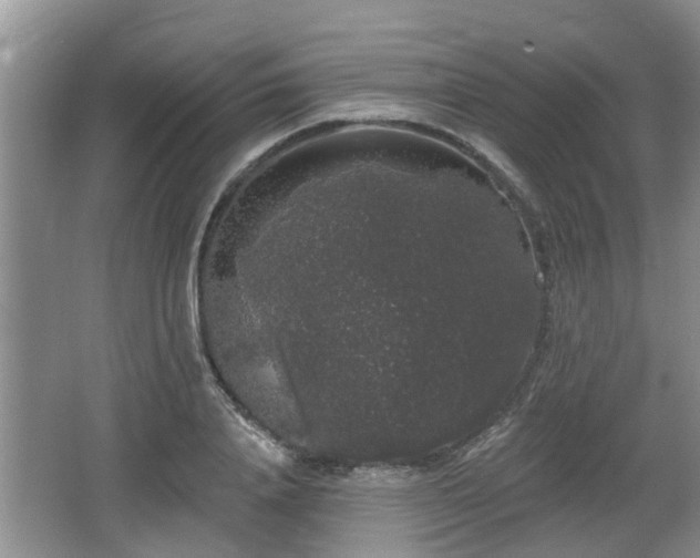 X0000064720840200602131222