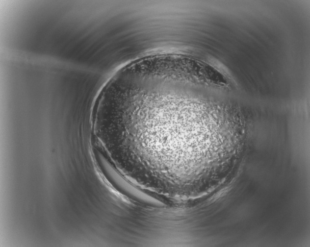 X0000064720844200602131222