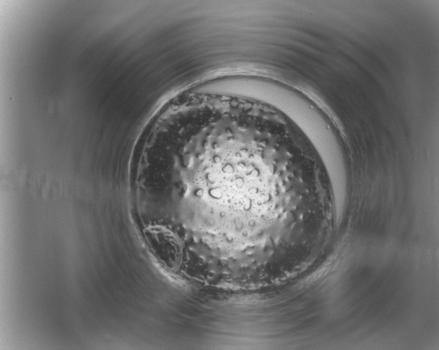 X0000064720845200602131222