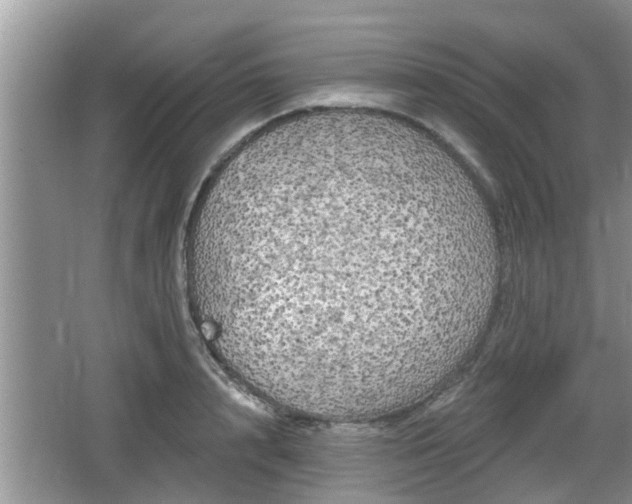 X0000064720848200602131222