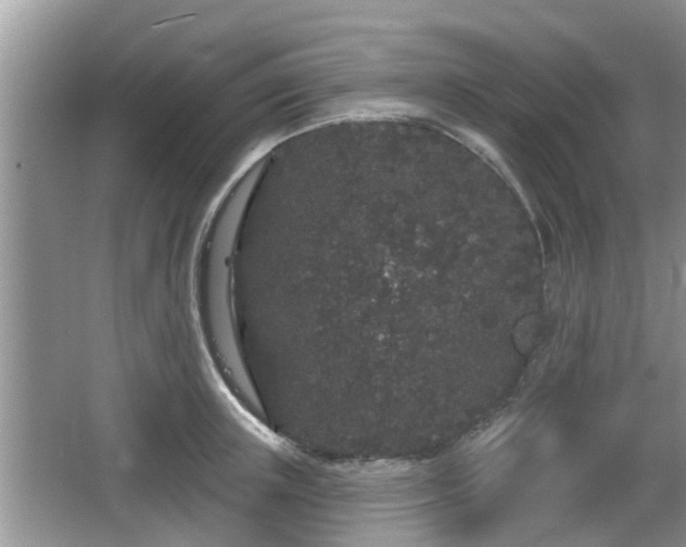 X0000064720851200602131222