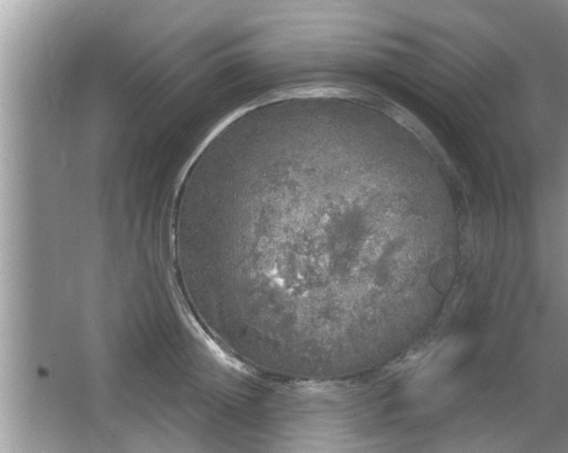 X0000064720852200602131222