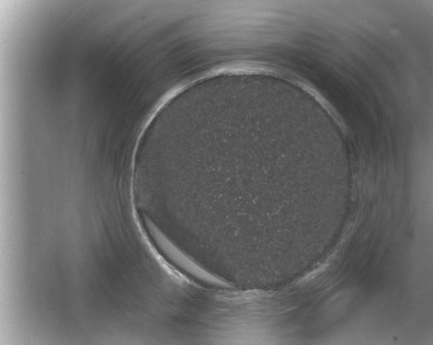 X0000064720853200602131222