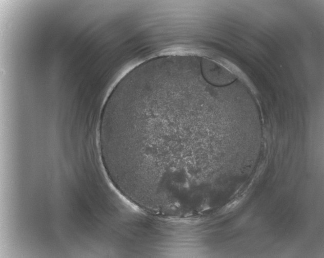 X0000064720855200602131222