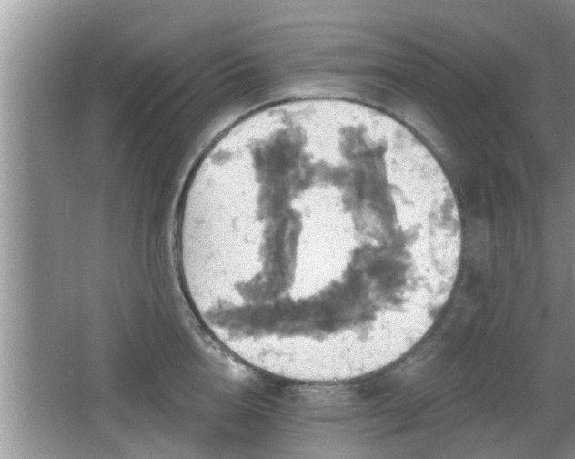 X0000064720856200602131222