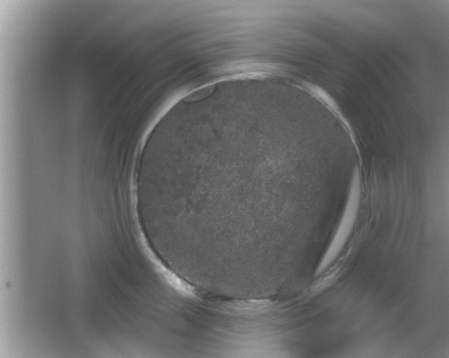 X0000064720859200602131222