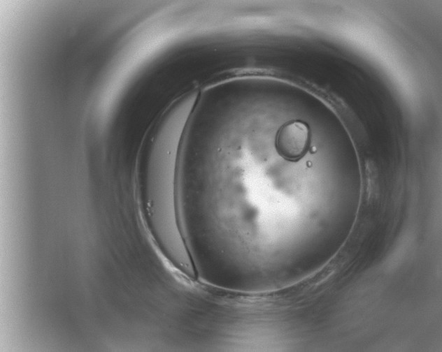 X0000064720861200602131222