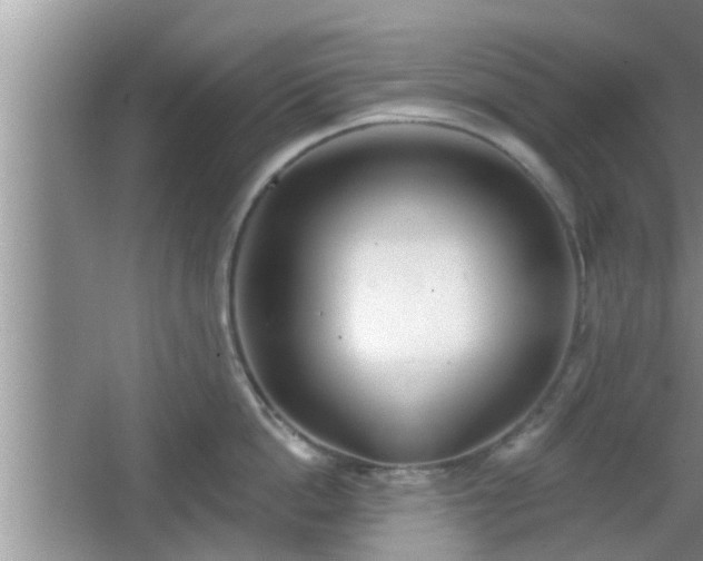 X0000064720862200602131222