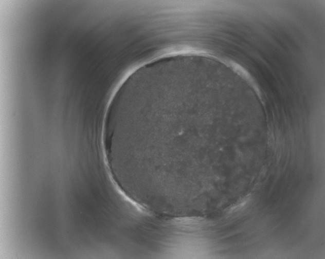 X0000064720863200602131222