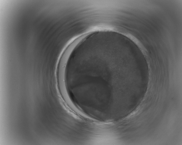 X0000064720864200602131222