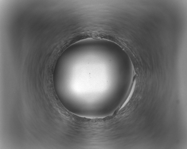 X0000064720865200602131222