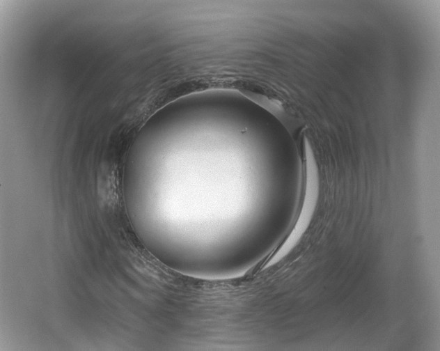 X0000064720866200602131222