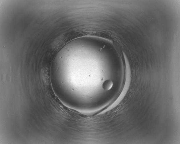 X0000064720867200602131222