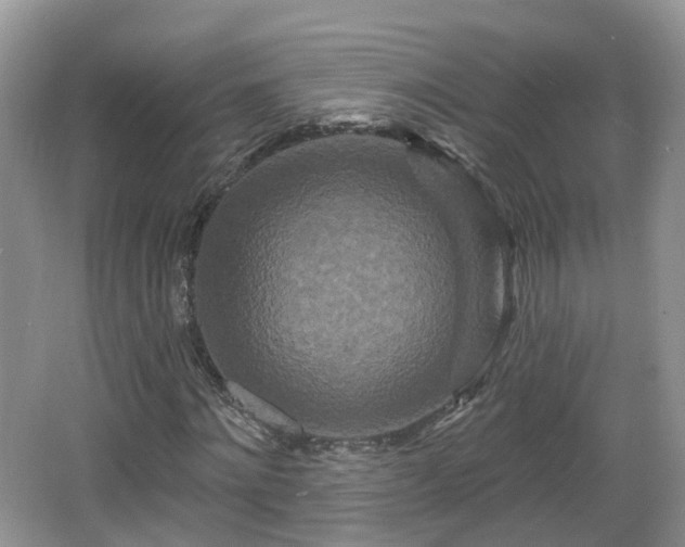 X0000064720868200602131222