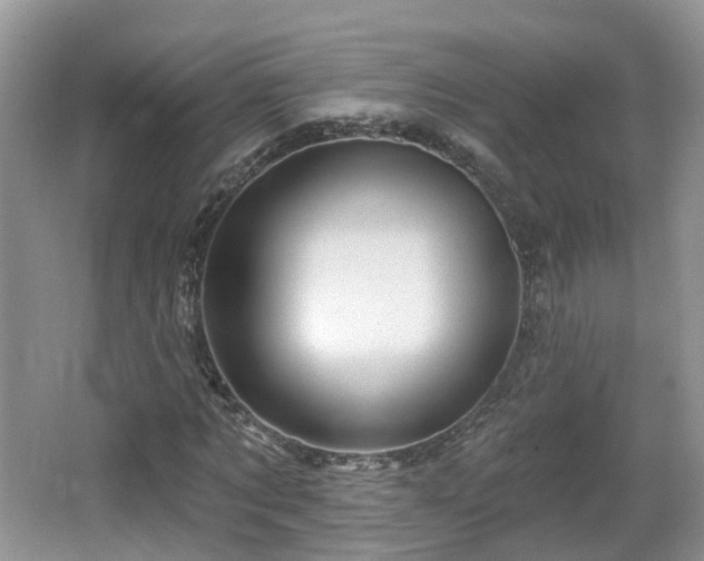 X0000064720869200602131222