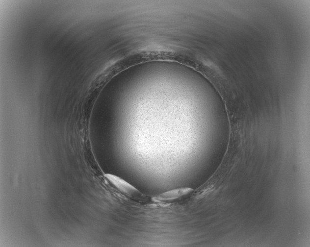 X0000064720870200602131222