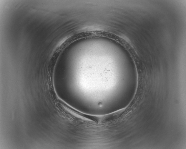 X0000064720871200602131222