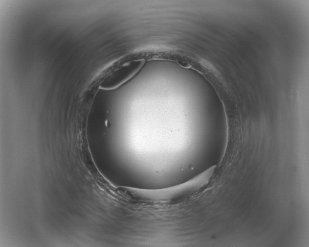 X0000064720872200602131222