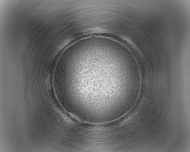 X0000064720873200602131222