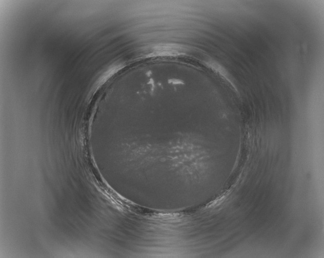 X0000064720874200602131222