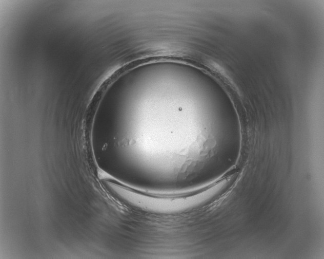 X0000064720875200602131222