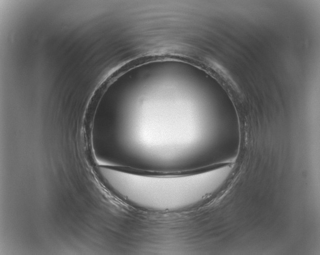 X0000064720876200602131222