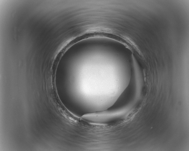 X0000064720877200602131221