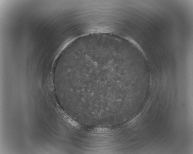 X0000064720878200602131221