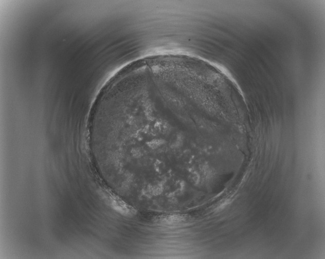 X0000064720879200602131221