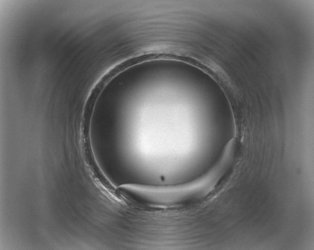 X0000064720880200602131221