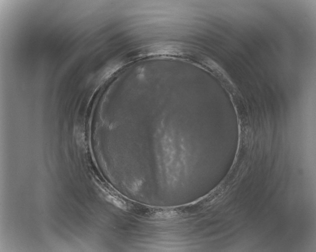 X0000064720882200602131221