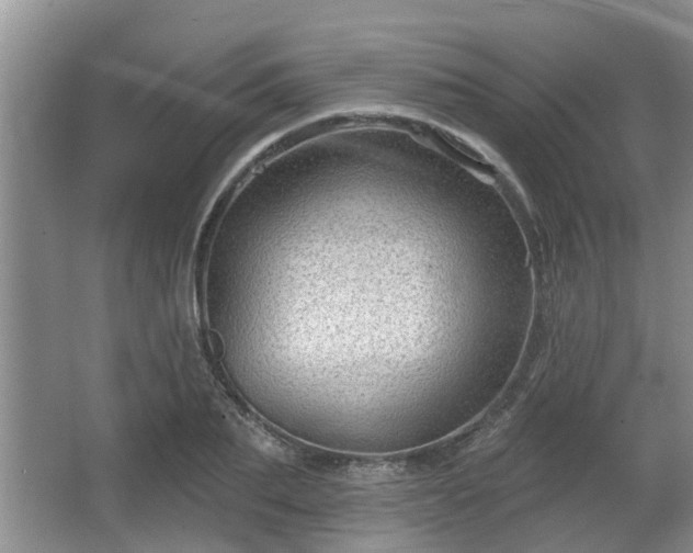 X0000064720887200602131221