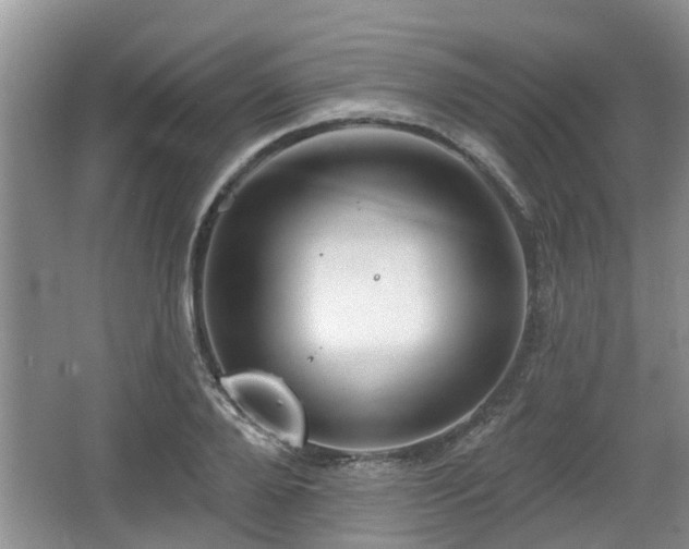 X0000064720888200602131221