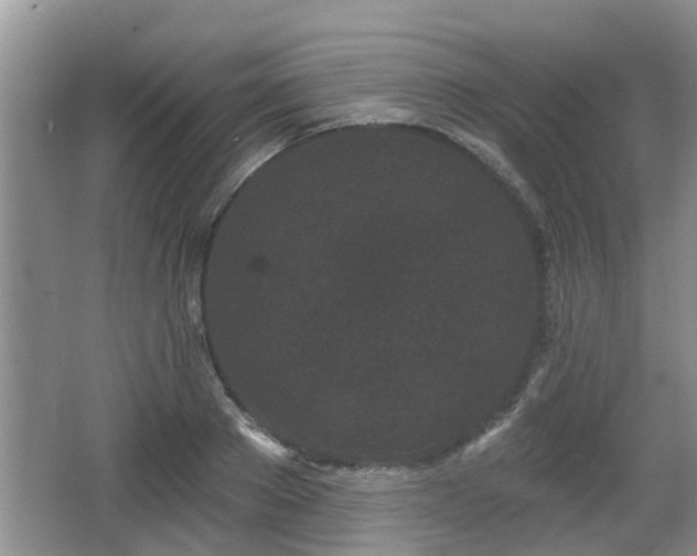 X0000064720889200602131221