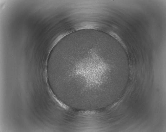 X0000064720890200602131221