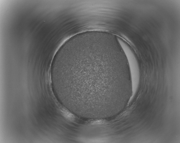 X0000064720891200602131221